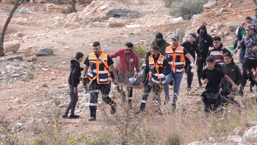 2 Palestinians injured by Israeli forces, illegal settlers in occupied West Bank