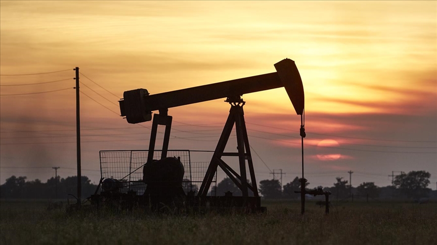 Trump yönetimi, Alaska\'daki rezervde yaban hayatını koruyan sondaj sınırlamalarını kaldırdı