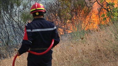 Algeria reports over 22 forest fires across 8 provinces