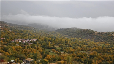Li Bedlîsê daristanên Hîzanê bi rengên payîzê xemilîn