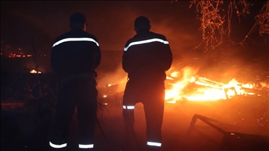 الجزائر.. تسجيل 22 حريق غابات في 8 محافظات وإجلاء سكان