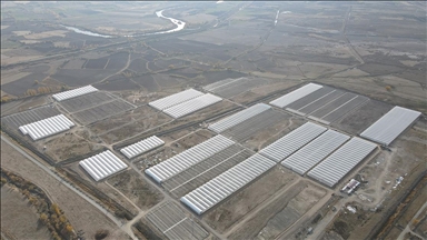 Doğu Anadolu'nun en büyük toplu sera alanı Erzincan'da kurulacak