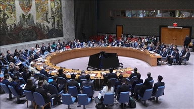 Турция и 9 стран выступили с заявлением в поддержку проекта резолюции СБ ООН по Газе