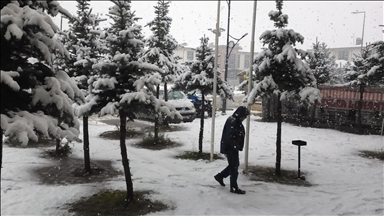 Li Sêwasê berf barî