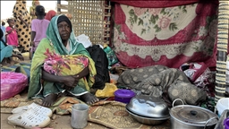 Top diplomats of UAE, US discuss ‘tragic situation’ in Sudan