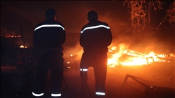 الجزائر.. حرائق غابات تزامنا مع حرارة مرتفعة ورياح جافة