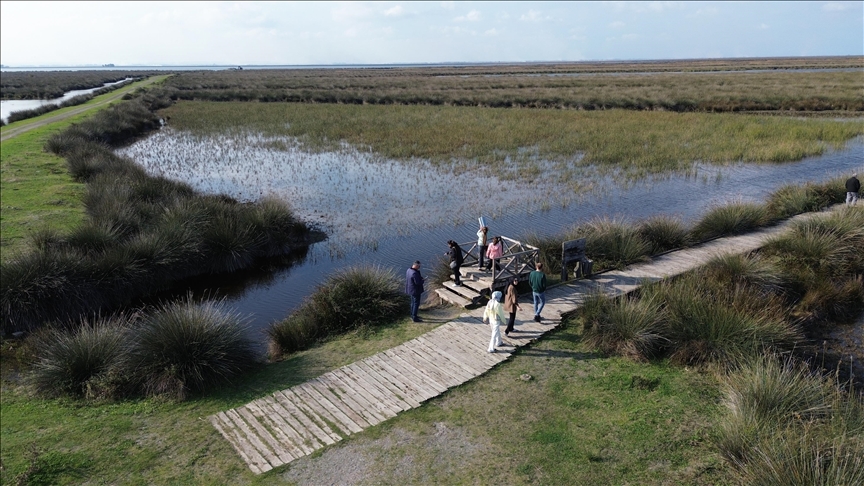 Kızılırmak Deltası Kuş Cenneti'ni son 2 yılda 220 bin kişi ziyaret etti