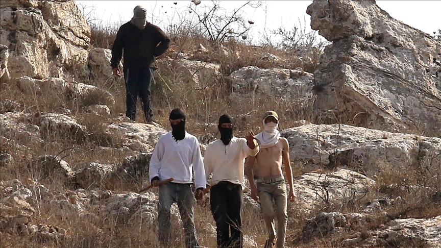 مستوطنون يقتحمون قريتين فلسطينيتين ويتلفون أشجارا مثمرة