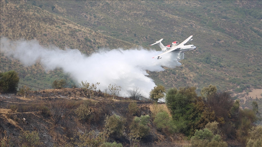 الجزائر تعلن إخماد كافة حرائق الغابات