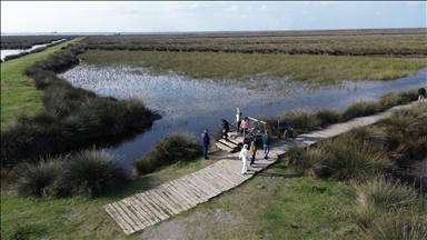 Kızılırmak Deltası Kuş Cenneti'ni son 2 yılda 220 bin kişi ziyaret etti