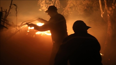 حرائق غرب الجزائر وطقس غير مستقر يضرب دولا عربية 