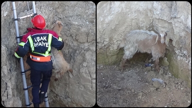 Uşak'ta kuyuya düşen keçiyi itfaiye kurtardı 