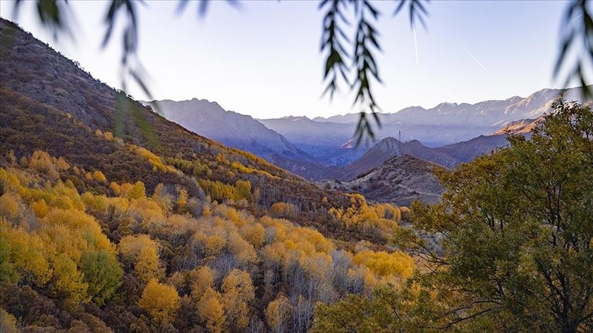 شلالات وألوان خريفية.. غابات سالوردك جنة برية في قلب تونجلي