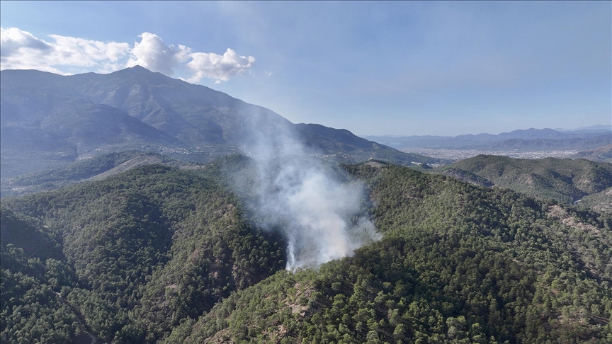 Muğla’da çıkan orman yangını söndürüldü