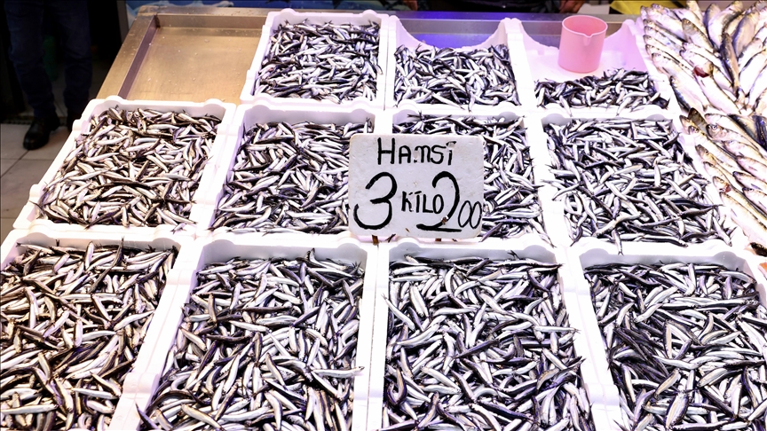 Trabzon\'daki balıkçı tezgahlarında hamsinin kilogramı 75 liradan satılıyor
