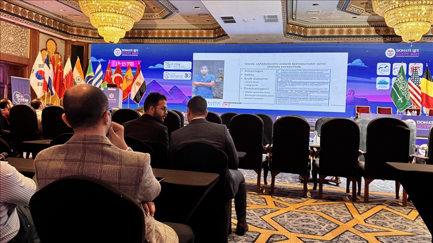 Türkiye\'nin böbrek nakli tecrübesi Mısır\'da düzenlenen kongrede paylaşıldı