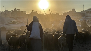 All you need to know about Palestinian ‘mystery’ flights to South Africa