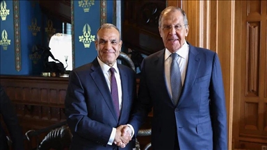 مصر وروسيا تبحثان ترتيبات أمن غزة بمشروع قرار في مجلس الأمن