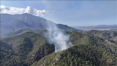 Muğla’da çıkan orman yangını söndürüldü