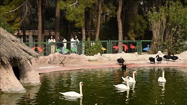 Gaziantep Doğal Yaşam Parkı, ara tatilde 325 bin kişiyi ağırladı