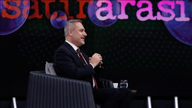 Germany’s support signals ‘renewal of political will’ for Türkiye’s EU path: Turkish foreign minister