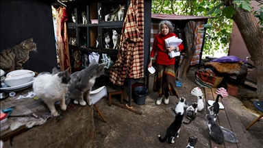 Жителка на Баку со години се грижи за десетици улични мачки во својот двор