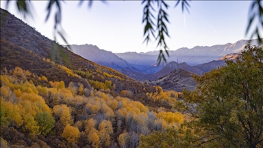 Tunceli'nin Salördek ormanları sonbaharda doğayla buluşmak isteyenleri ağırlıyor