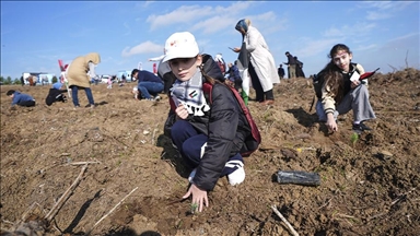 10 آلاف شتلة تخلّد ذكرى أطفال غزة.. رسالة بيئية وإنسانية من إسطنبول