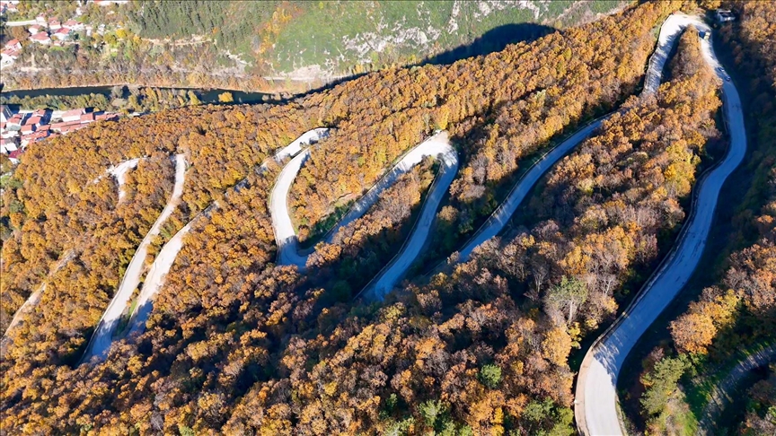 ريشة الخريف تلوّن غابات "قارابوك" التركية