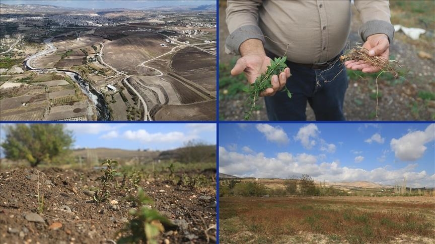 جفاف نهر العاصي يفاقم معاناة المزارعين بإدلب السورية