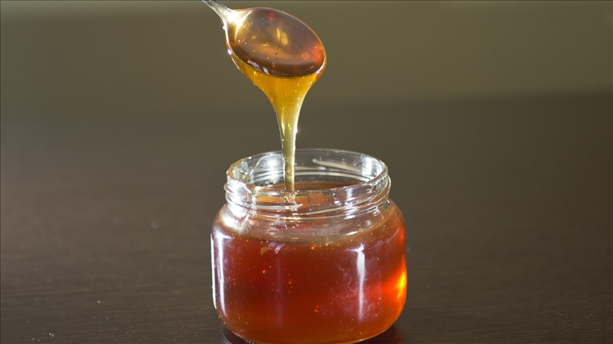 Doğu Karadeniz\'in 10 aylık bal ihracatı 1,8 milyon doları aştı