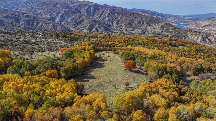 Diyarbakır\'ın Kulp ilçesindeki sonbahar renkleri dronla görüntülendi
