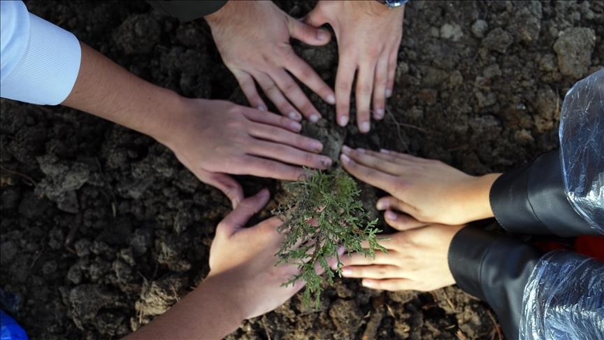 تركيا.. زراعة نحو 15 مليون شتلة خلال فعاليات "يوم التشجير"