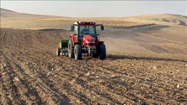 Yozgat'ta kuraklık nedeniyle buğday ekimi kasım ayına sarktı