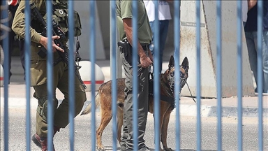 Al menos 98 palestinos recluidos en cárceles y centros de detención israelíes han fallecido en los últimos dos años