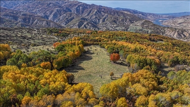 Diyarbakır'ın Kulp ilçesindeki sonbahar renkleri dronla görüntülendi