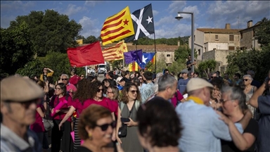 Puigdemont urges Spain's top court to suspend arrest warrant, citing amnesty law is 'fully applicable'