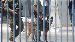 Al menos 98 palestinos recluidos en cárceles y centros de detención israelíes han fallecido en los últimos dos años