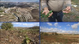 جفاف نهر العاصي يفاقم معاناة المزارعين بإدلب السورية