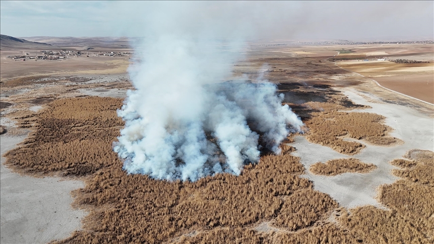 Konya'daki tamamen kuruyan Gökgöl sazlıkları 2 gündür yanıyor