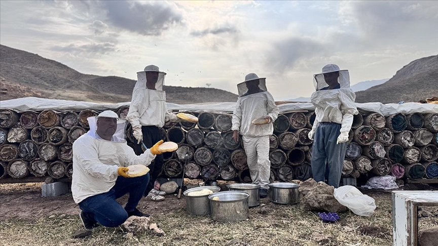 Çemikare Yaylası\'nda kış öncesi yılın son kara kovan balı hasadı yapılıyor