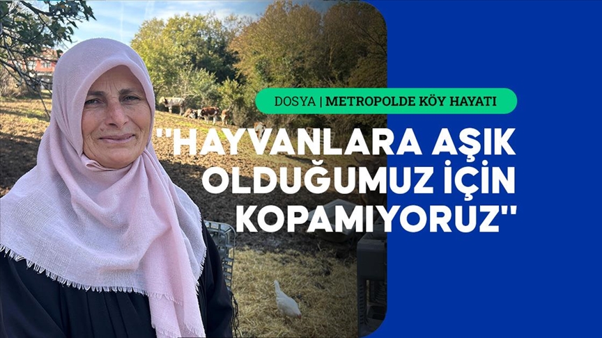 İstanbul\'un köy hayatı süren mahallelerinde stresten uzak organik yaşam