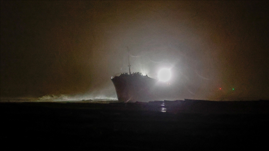 Türkiye : Près de 3 000 bovins bloqués depuis deux mois sur un cargo vétuste, en route pour un retour forcé en Uruguay