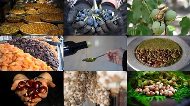 AB tescili, Türk ürünlerinin küresel pazarda görünürlüğünü artırıyor