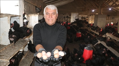 Çocukluk hayalini gerçekleştirmek için memleketine tavuk çiftliği kurdu