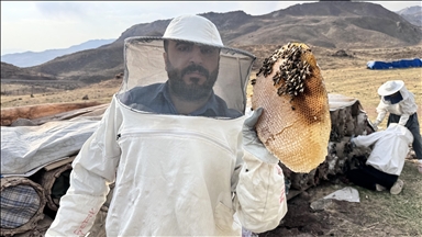 Li Zozanê Çemê Kareyê, beriya zivistanê, berhevkirina hingiv tê kirin