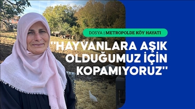 İstanbul'un köy hayatı süren mahallelerinde stresten uzak organik yaşam