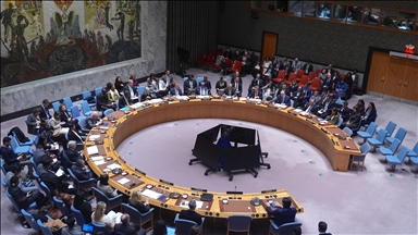 СБ ООН принял предложенную США резолюцию о создании «Международных сил стабилизации» в Газе