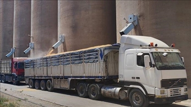 سوريا.. وصول أكثر من 134 ألف طن قمح قادمة من روسيا وأوكرانيا