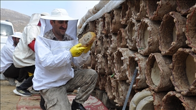 Li zozanên bilind ên Bidlîsê berhevkirina hingivê kewarên reş dewam dike